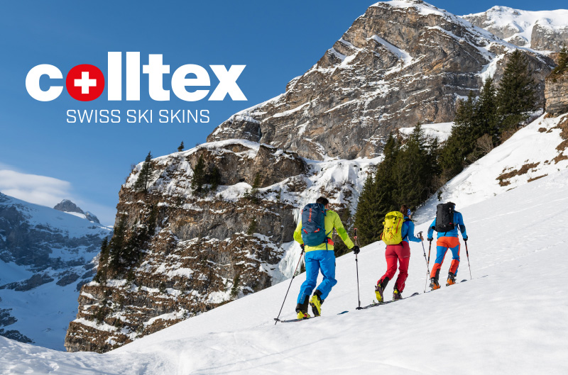 Colltex